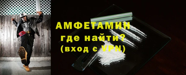 прущие грибы Навашино