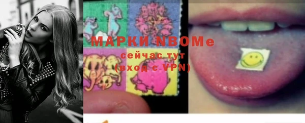 крисы Няндома