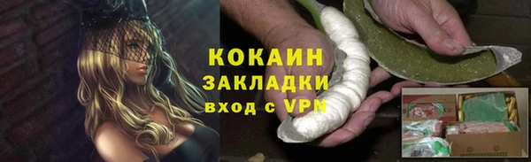 прущие грибы Навашино