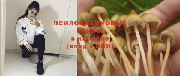 прущие грибы Навашино