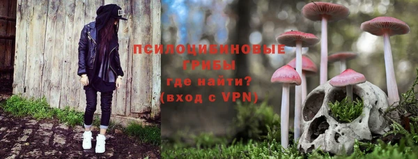 мяу мяу мука Сосновый Бор