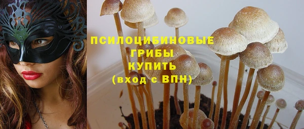 mdpv Козловка