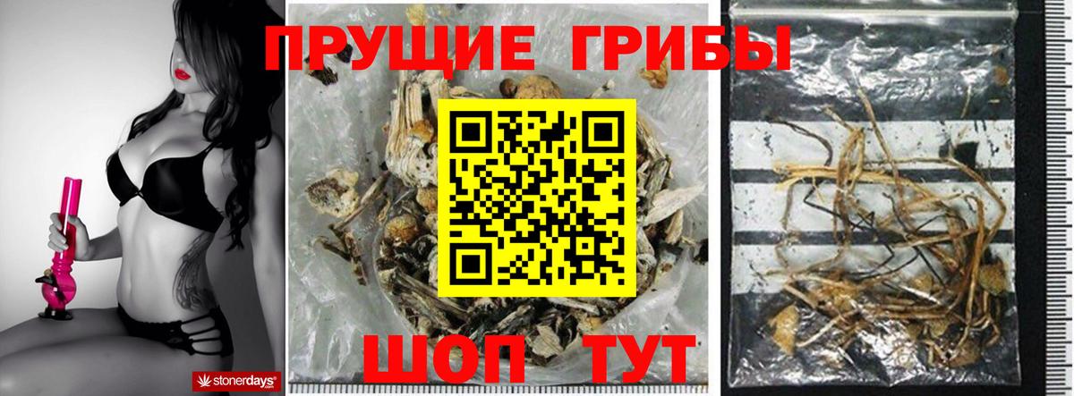 Галлюциногенные грибы Cubensis Смоленск