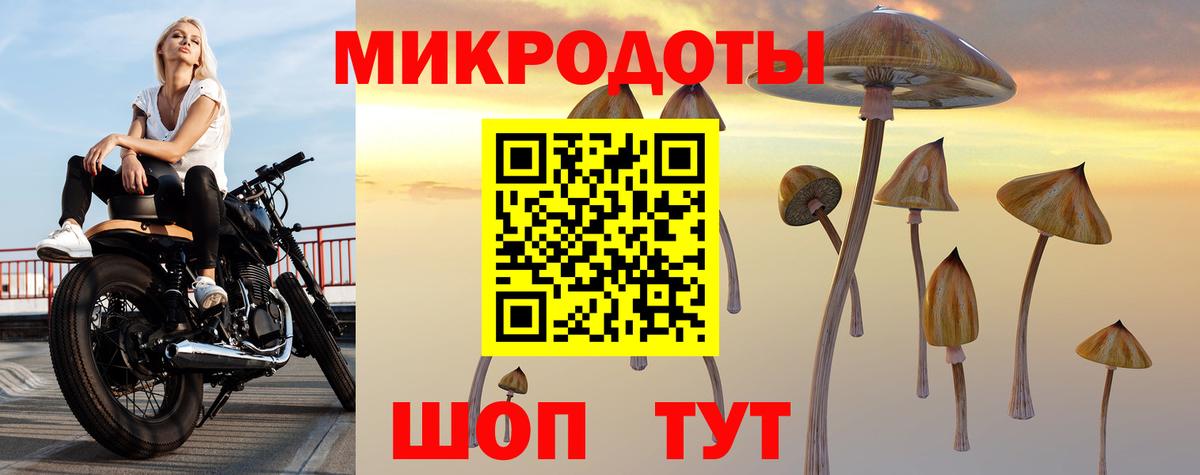Смоленск  Псилоцибиновые грибы прущие грибы  Галлюциногенные грибы Cubensis  Вход с VPN 